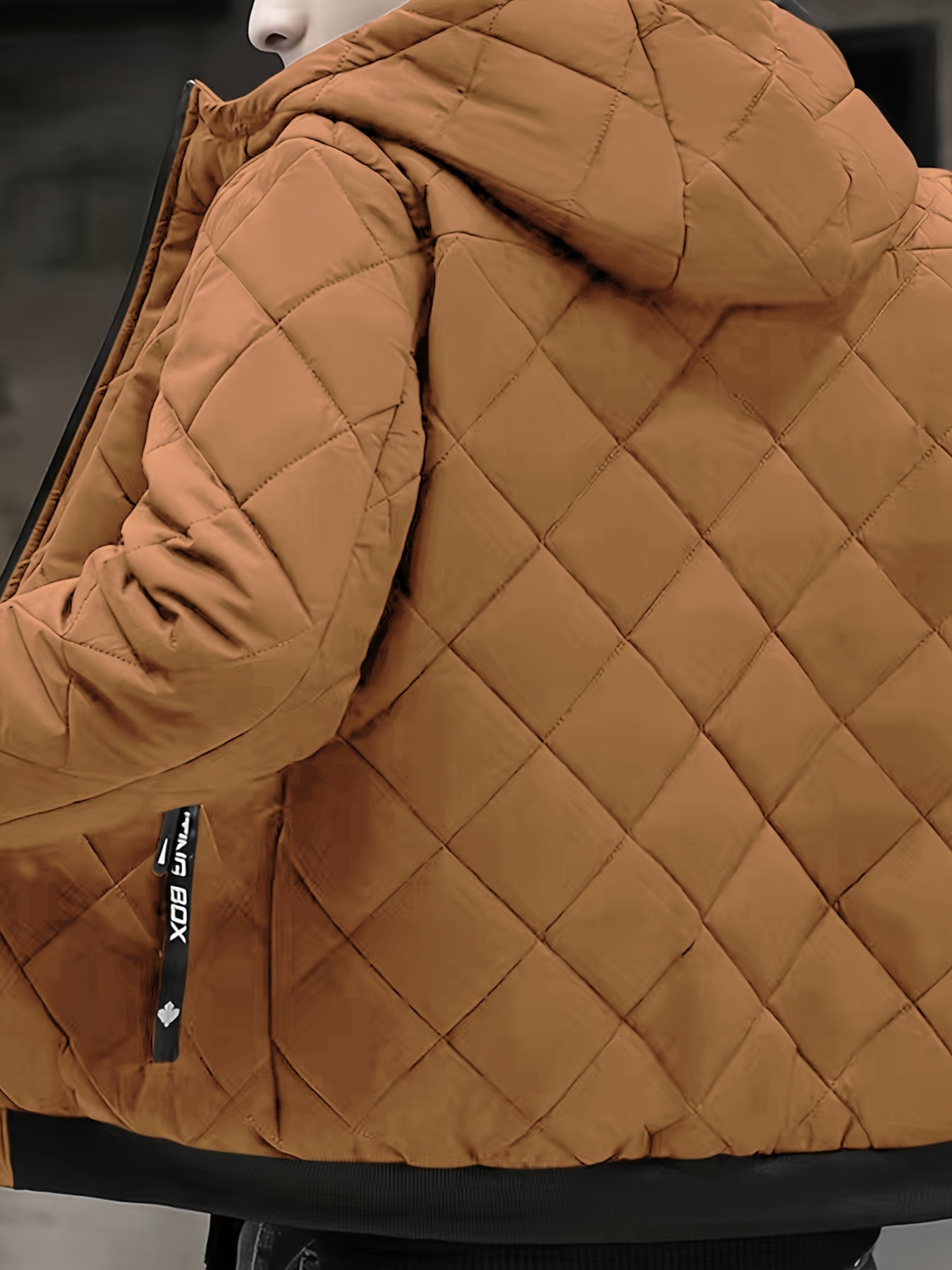 Chaqueta casual para hombre con capucha Forro y Relleno